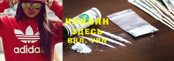 apvp Алексин